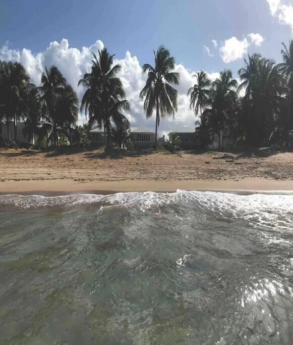 3 Bedroom Apt. Close To Main Beaches/ Attractions Rio Grande Luaran gambar